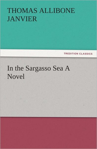 In the Sargasso Sea A Novel