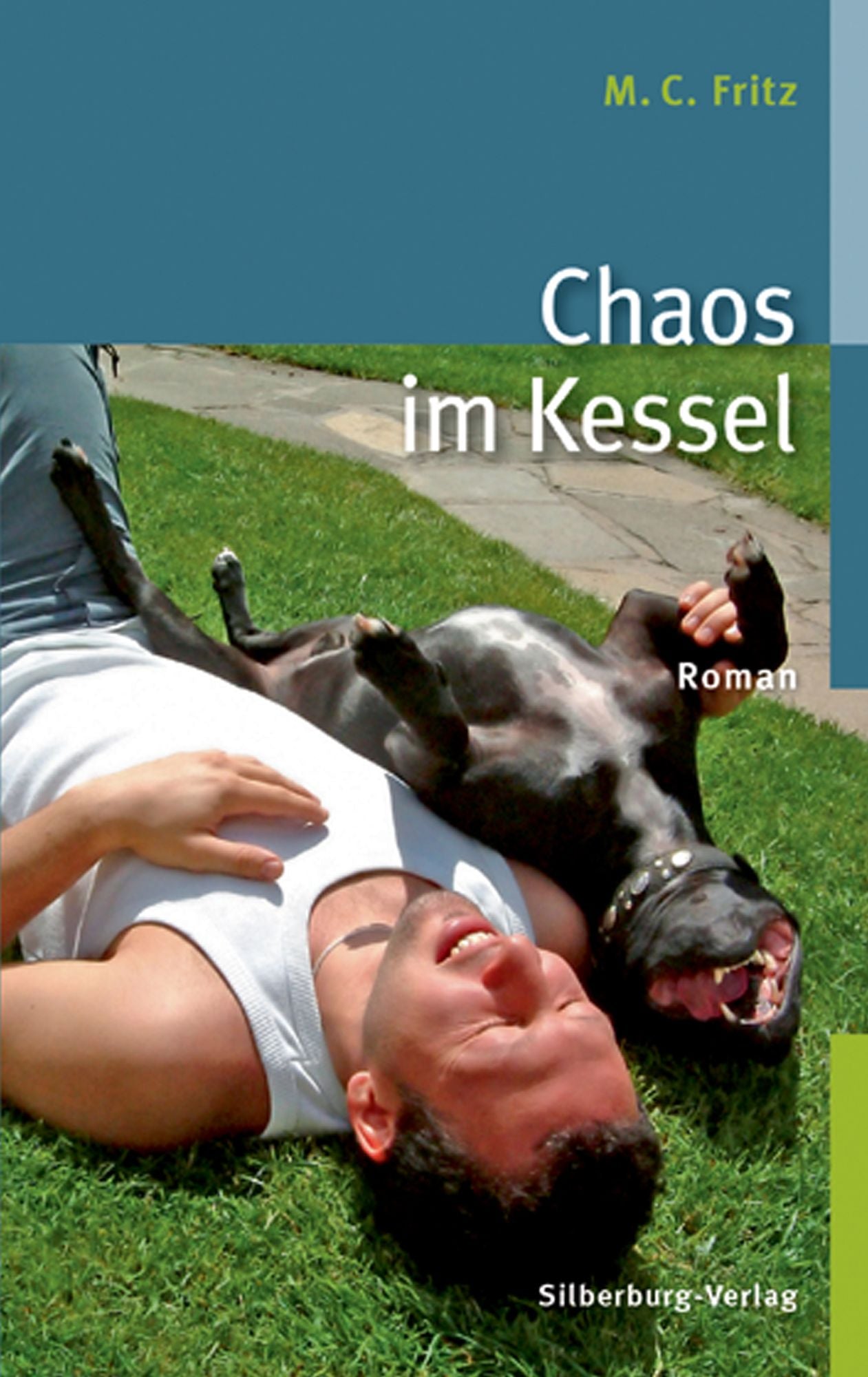 Chaos im Kessel: Roman
