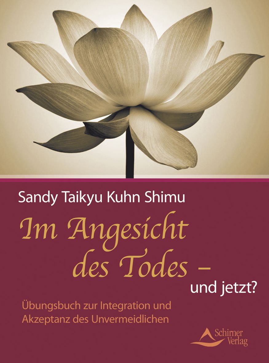 Im Angesicht des Todes - und jetzt?: Übungsbuch zur Integration und Akzeptanz des Unvermeidlichen