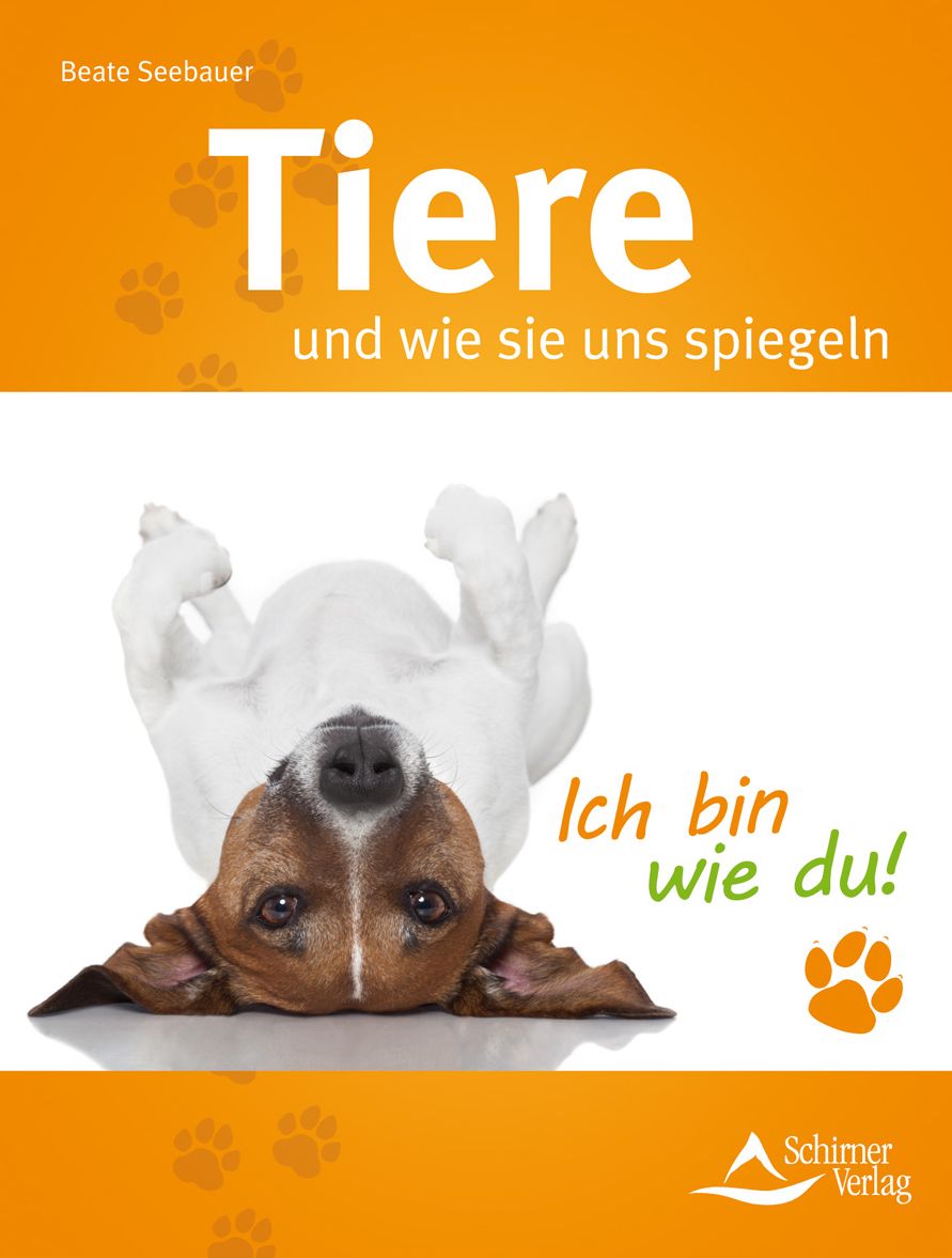 Tiere und wie sie uns spiegeln
