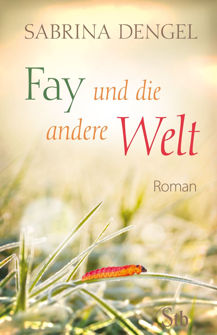 Fay und die andere Welt: Roman