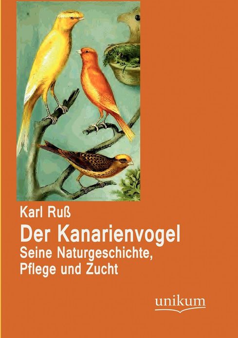 Der Kanarienvogel