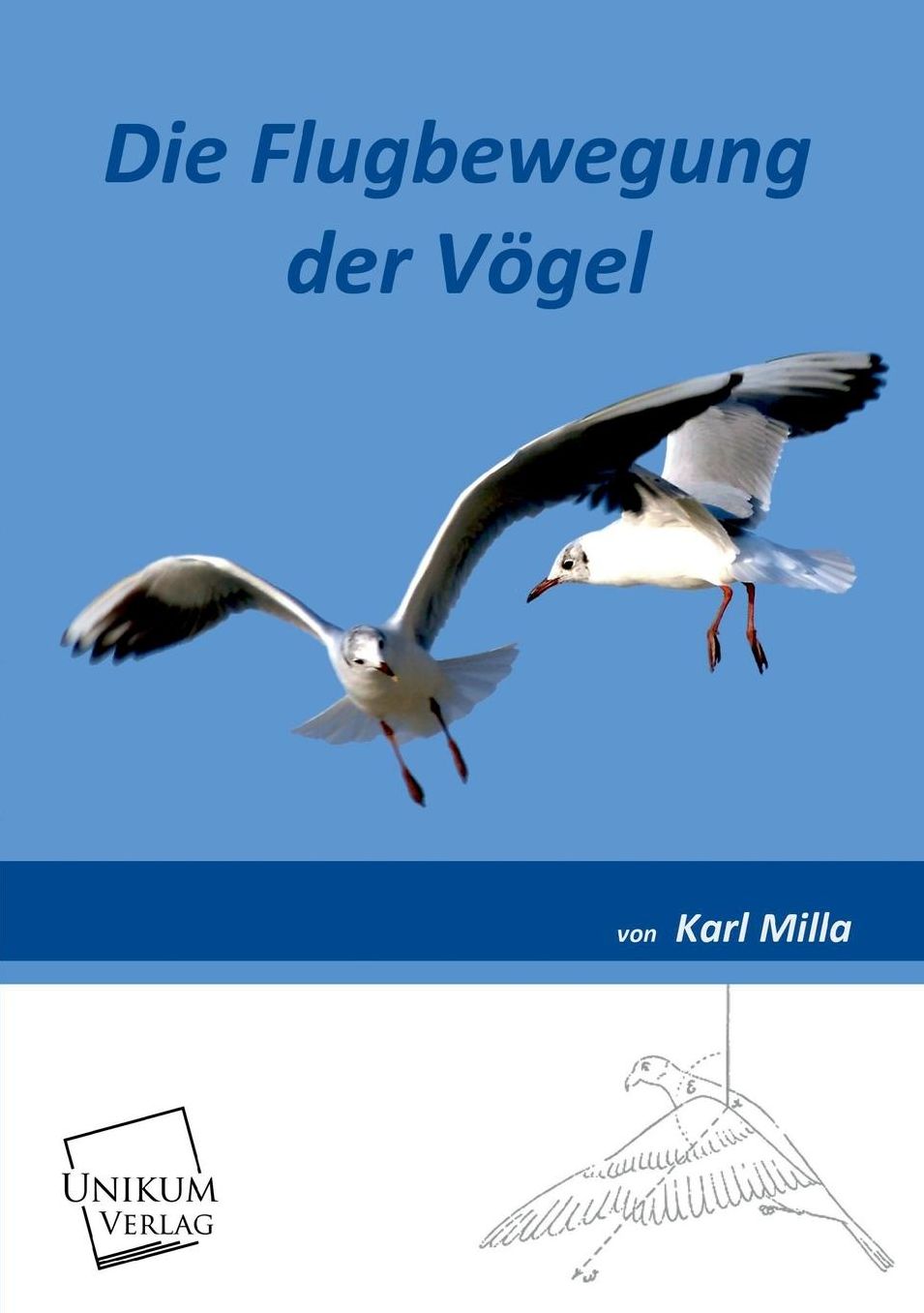 Die Flugbewegung Der Vogel
