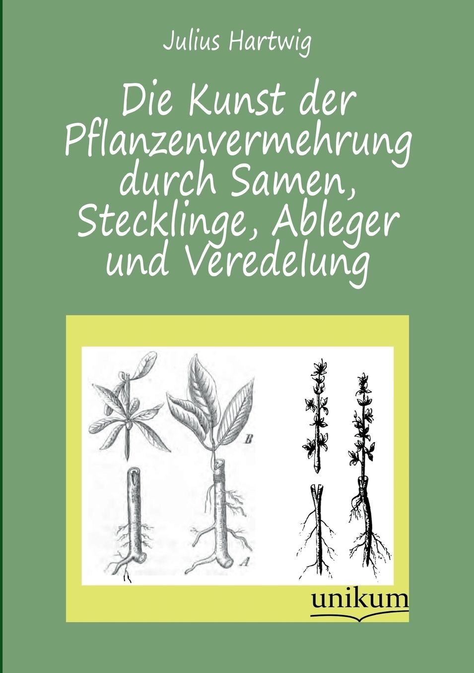 Die Kunst Der Pflanzenvermehrung Durch Samen, Stecklinge, Ableger Und Veredelung