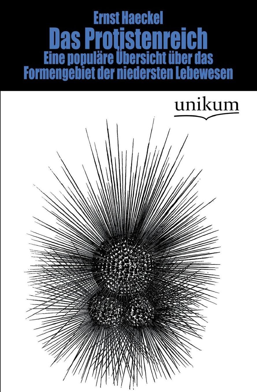 Das Protistenreich