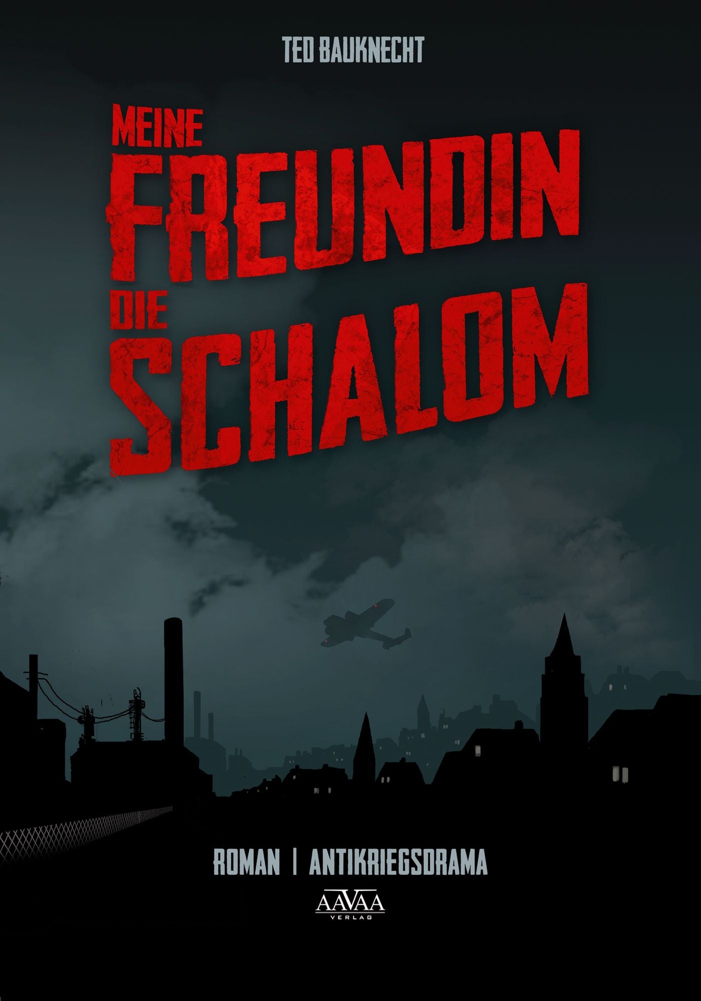 Meine Freundin, die Schalom: Antikriegsdrama