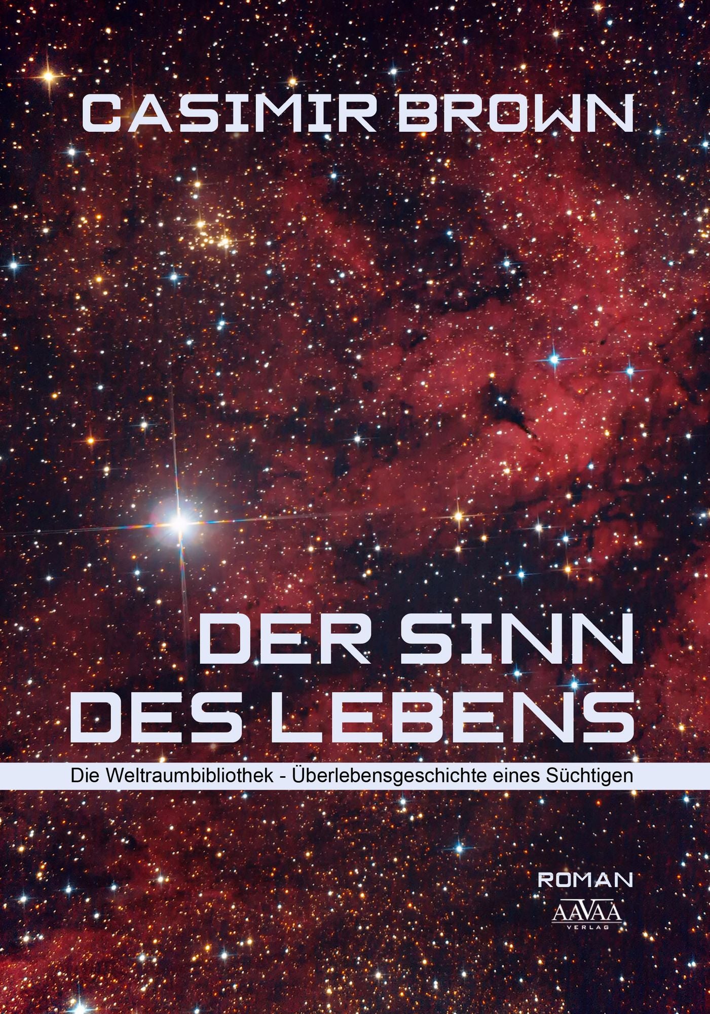 Der Sinn des Lebens: Die Weltraumbibliothek - Überlebensgeschichte eines Süchtigen