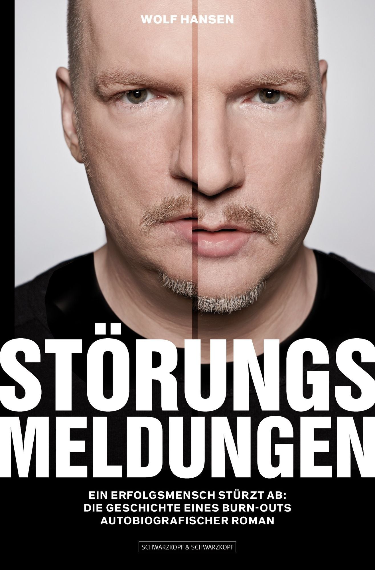 Störungsmeldungen: Ein Erfolgsmensch stürzt ab: Die Geschichte eines Burn-outs. Autobiografischer Roman