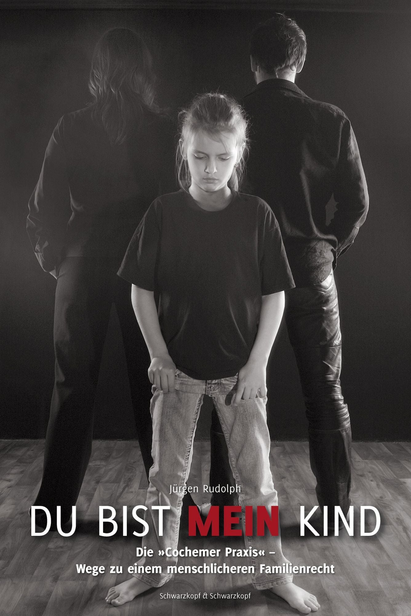 Du bist mein Kind: Die "Cochemer Praxis" - Wege zu einem menschlicheren Familienrecht