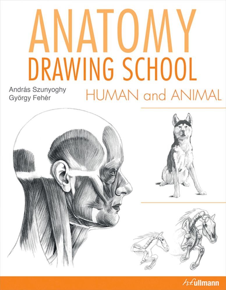 Anatomy Drawing School: Human and Animal