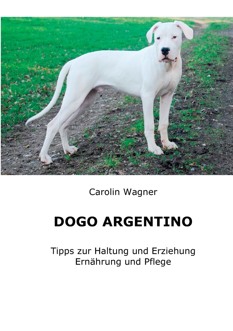 Dogo Argentino