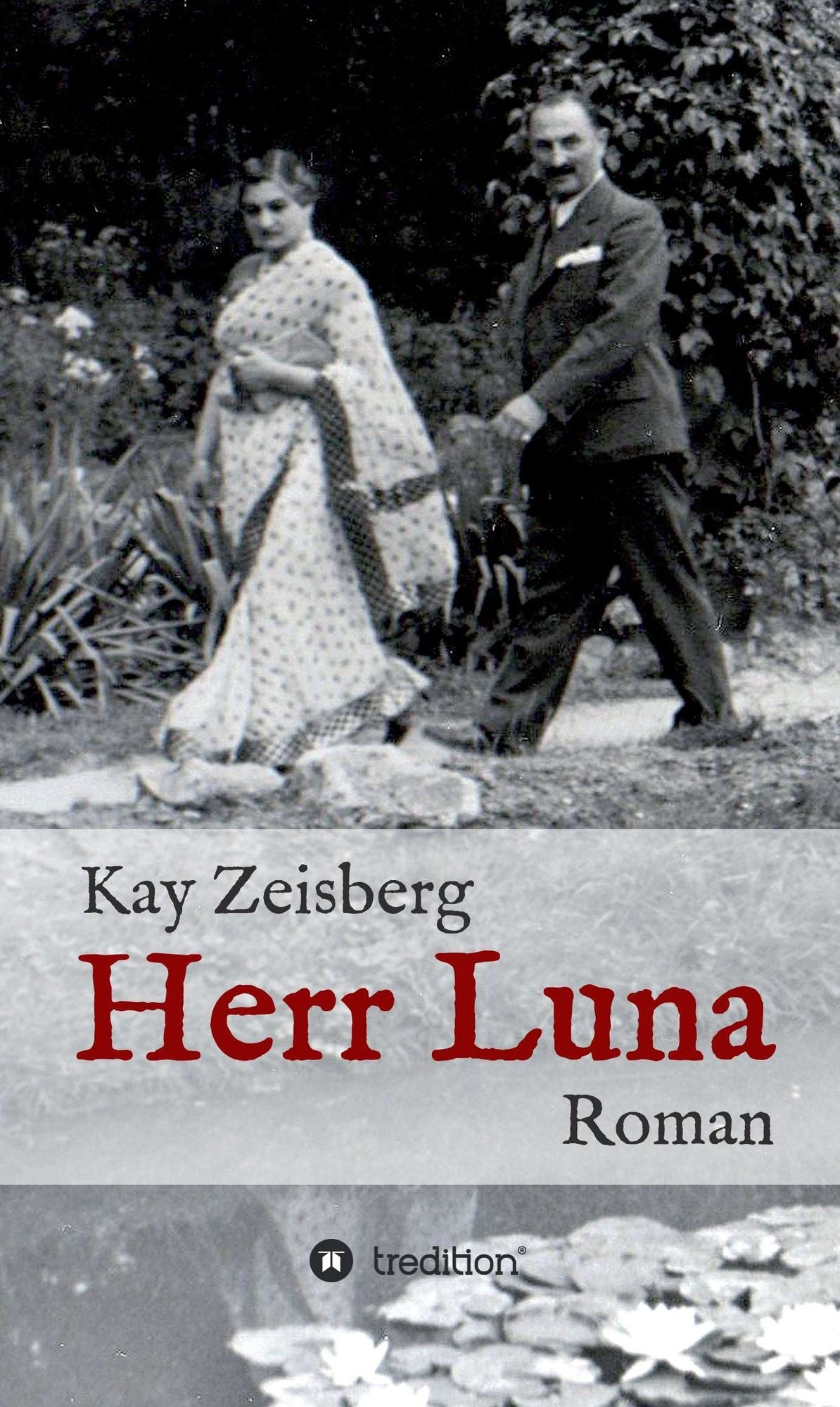 Herr Luna: Roman