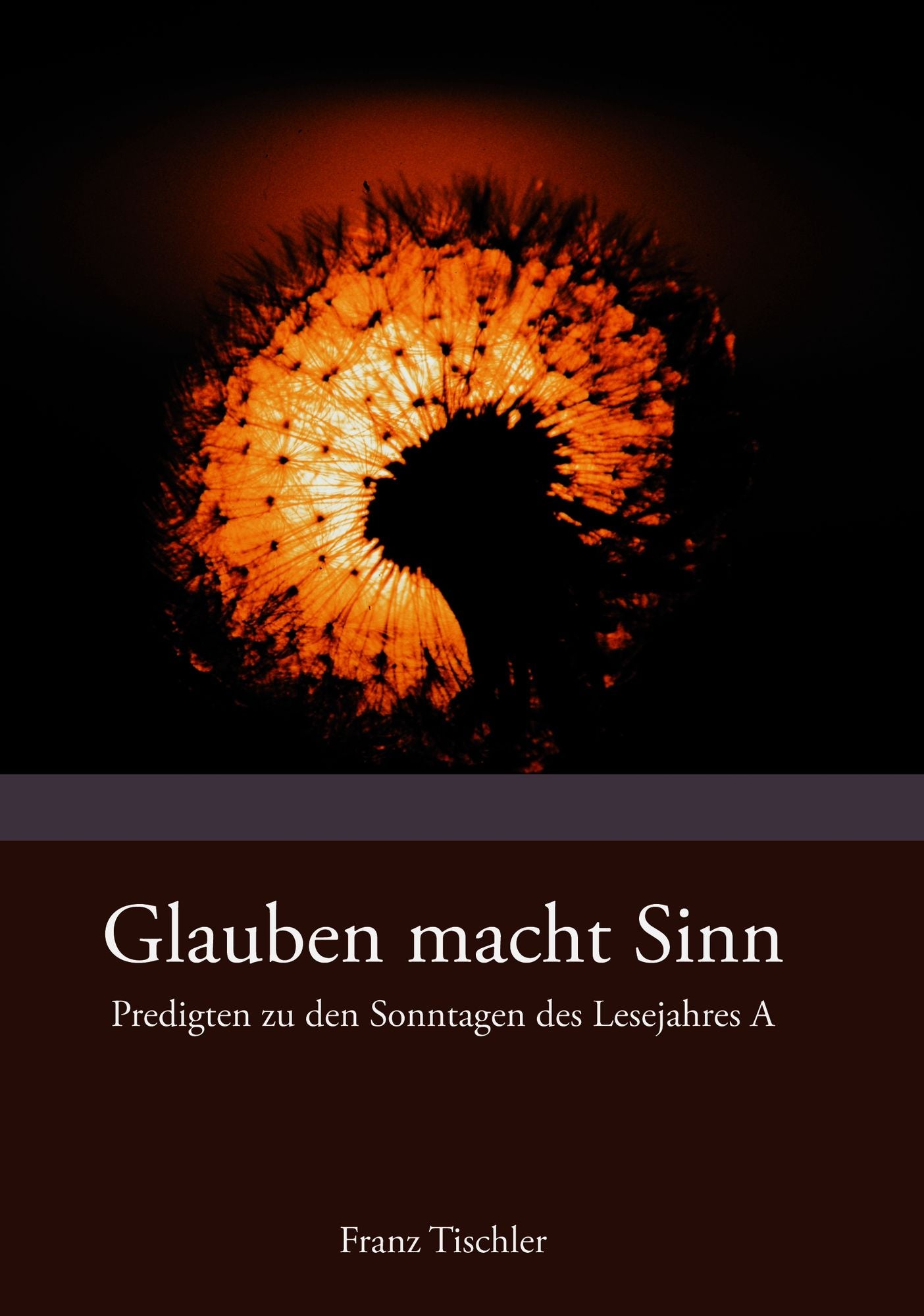 Glauben macht Sinn: Predigten zum Lesejahr A