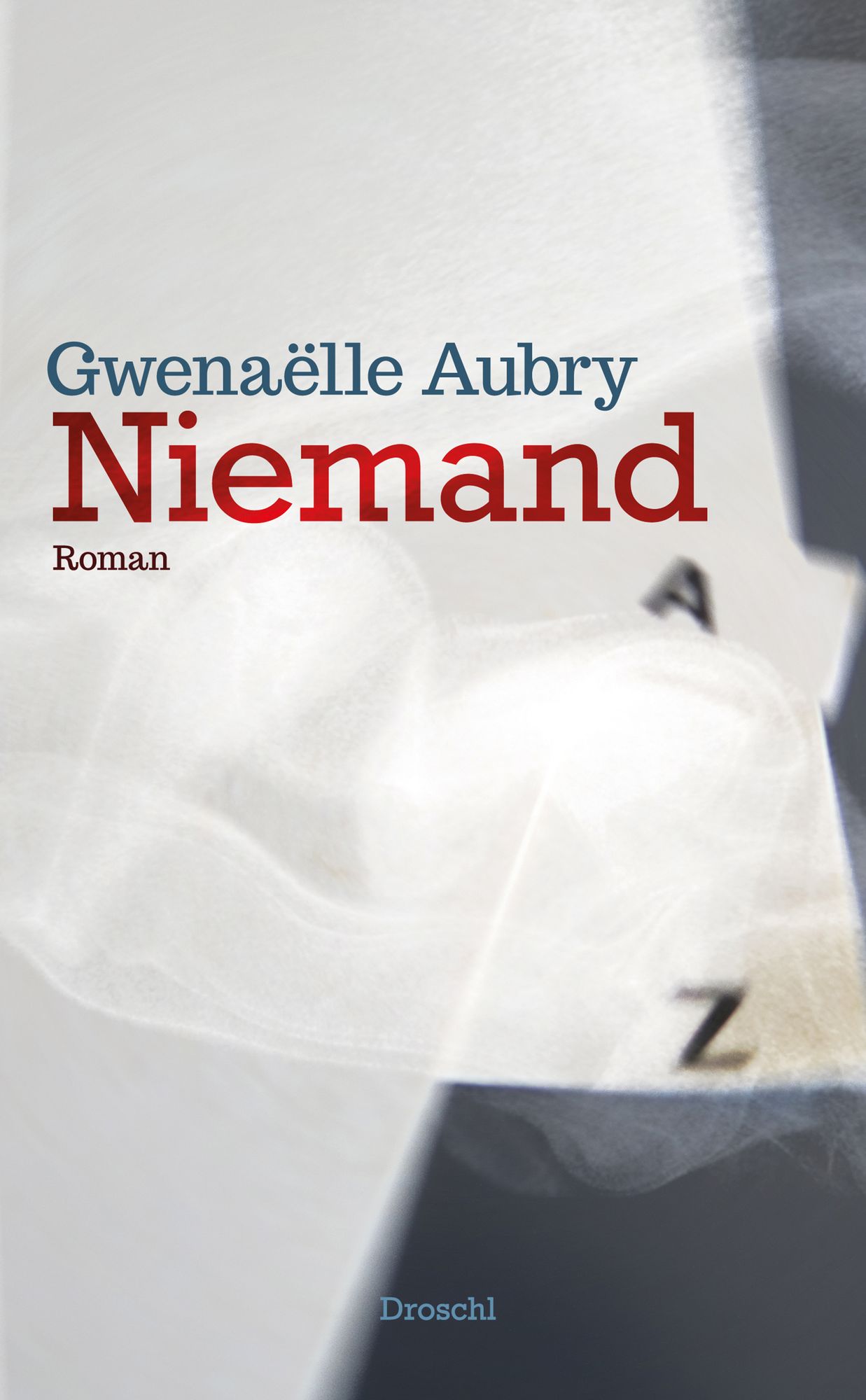Niemand: Roman
