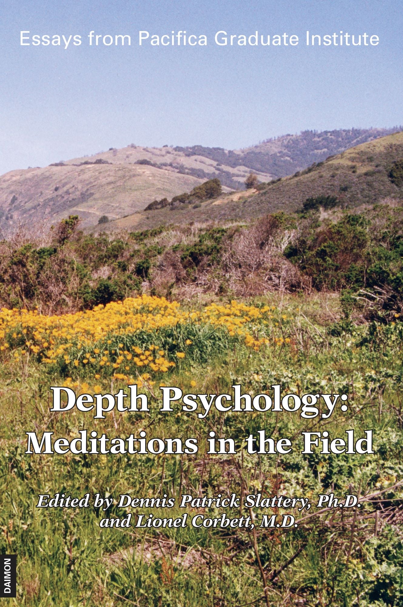 Depth Psychology - Second Edition: Meditations in the Field