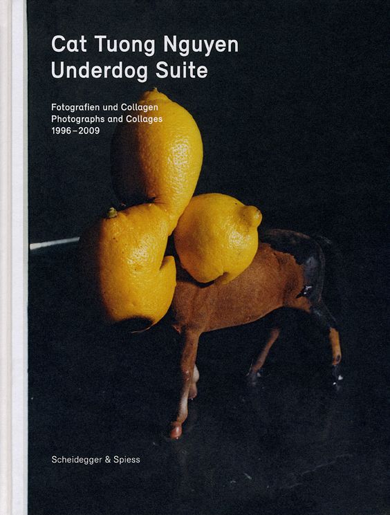 Underdog Suite: Photographs and Collages 1998-2009