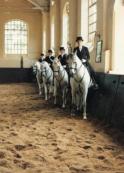 The Art of Classical Horsemanship