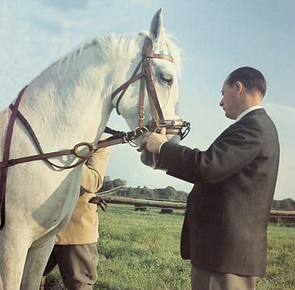 The Art of Classical Horsemanship