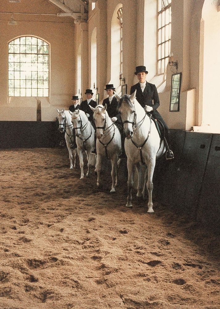The Art of Classical Horsemanship