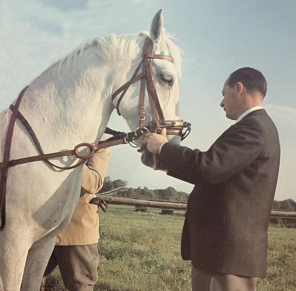The Art of Classical Horsemanship