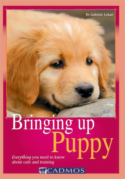Bringing Up Puppy: Everything You Need to Know About Care and Training