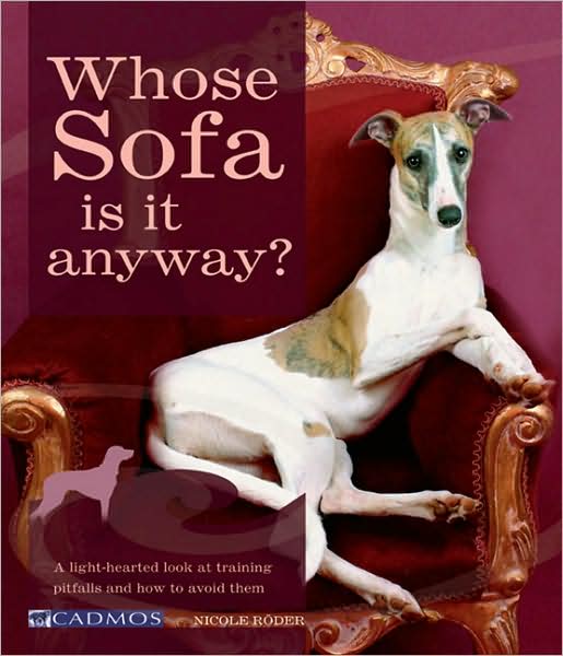 Whose Sofa Is It Anyway?: A Light-Hearted Look at Training Pitfalls and How to Avoid Them