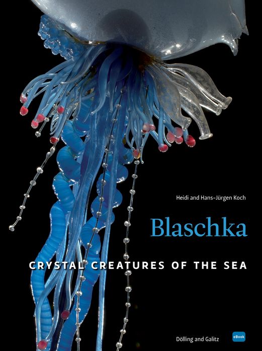 Blaschka: Crystal Creatures of the Sea