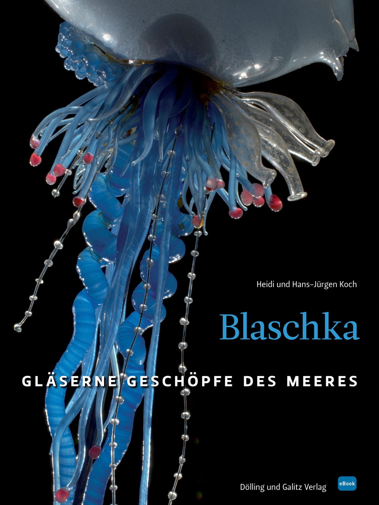 Blaschka (HD-Version): Gläserne Geschöpfe des Meeres