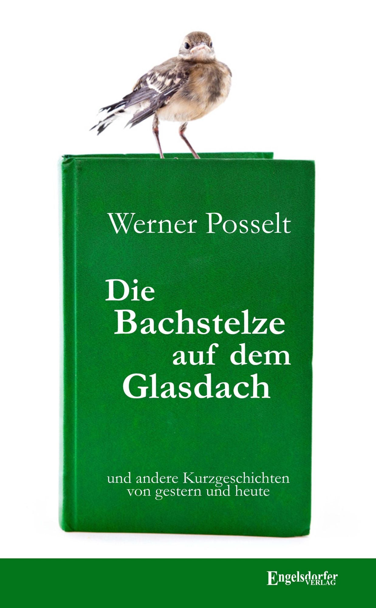 Die Bachstelze auf dem Glasdach und andere Kurzgeschichten von gestern und heute