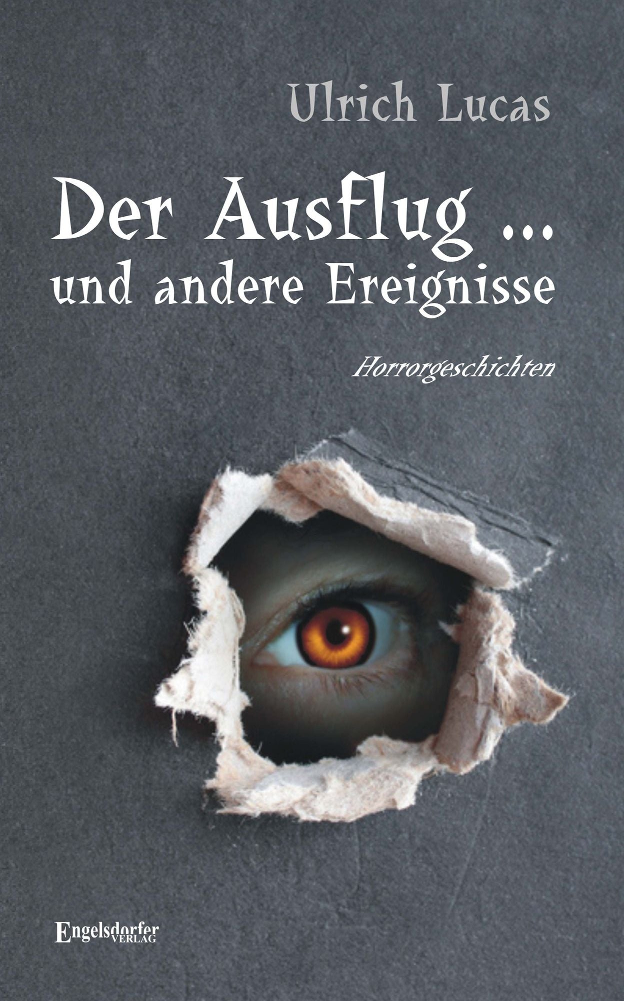 Der Ausflug ... und andere Ereignisse. Horrorgeschichten