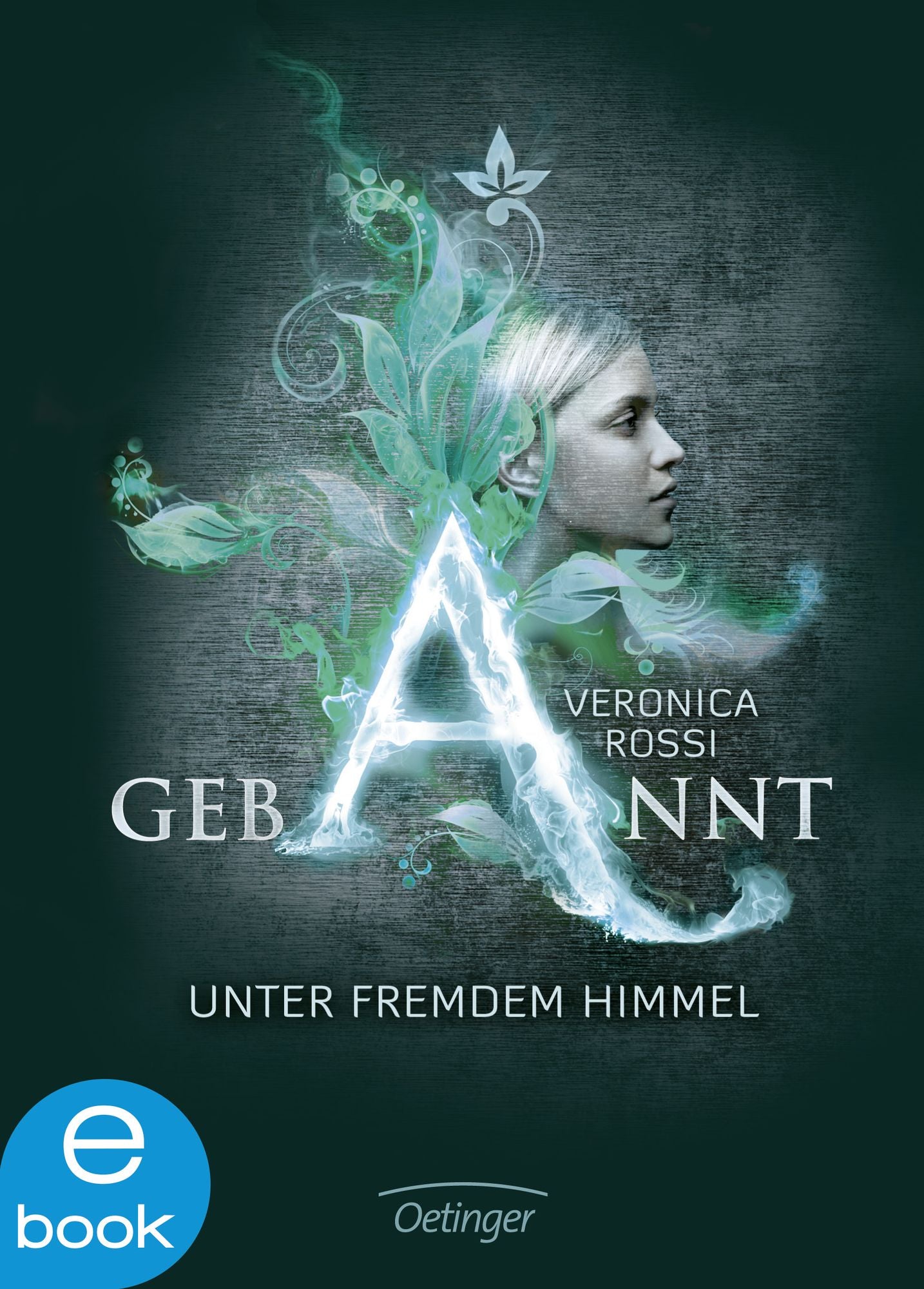 Gebannt. Unter fremdem Himmel: Band 1