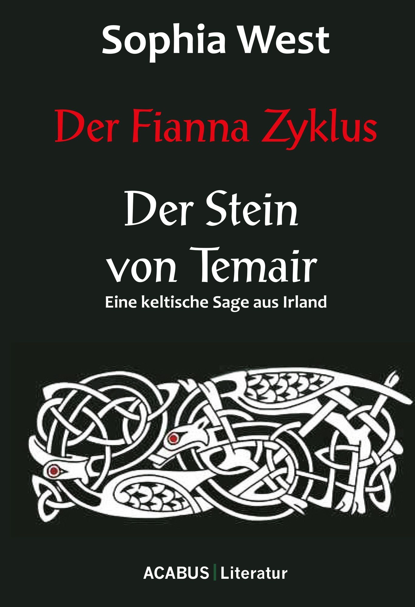Der Fianna Zyklus: Der Stein von Temair: Eine keltische Sage aus Irland