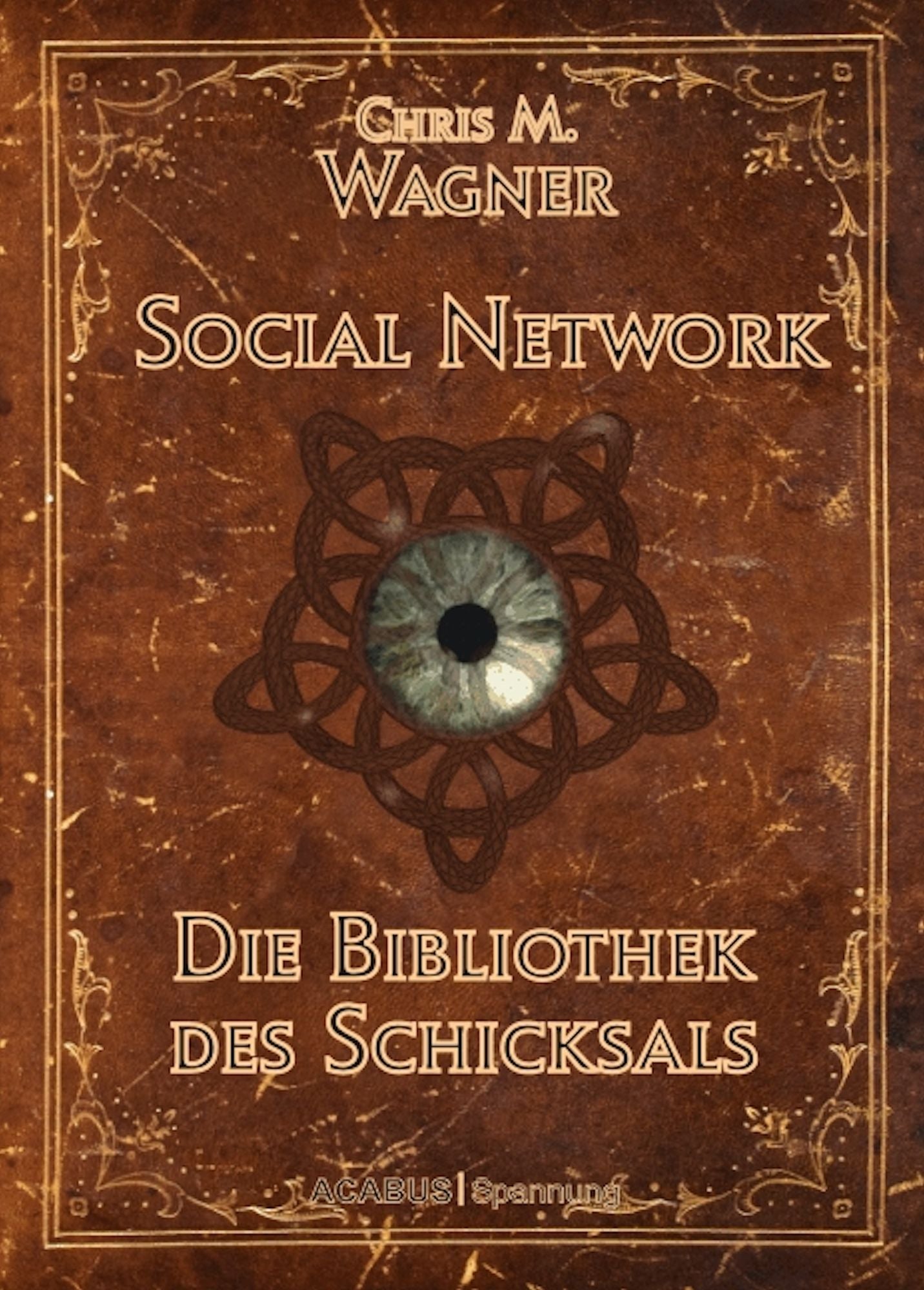 Social Network. Die Bibliothek des Schicksals: Mysterythriller