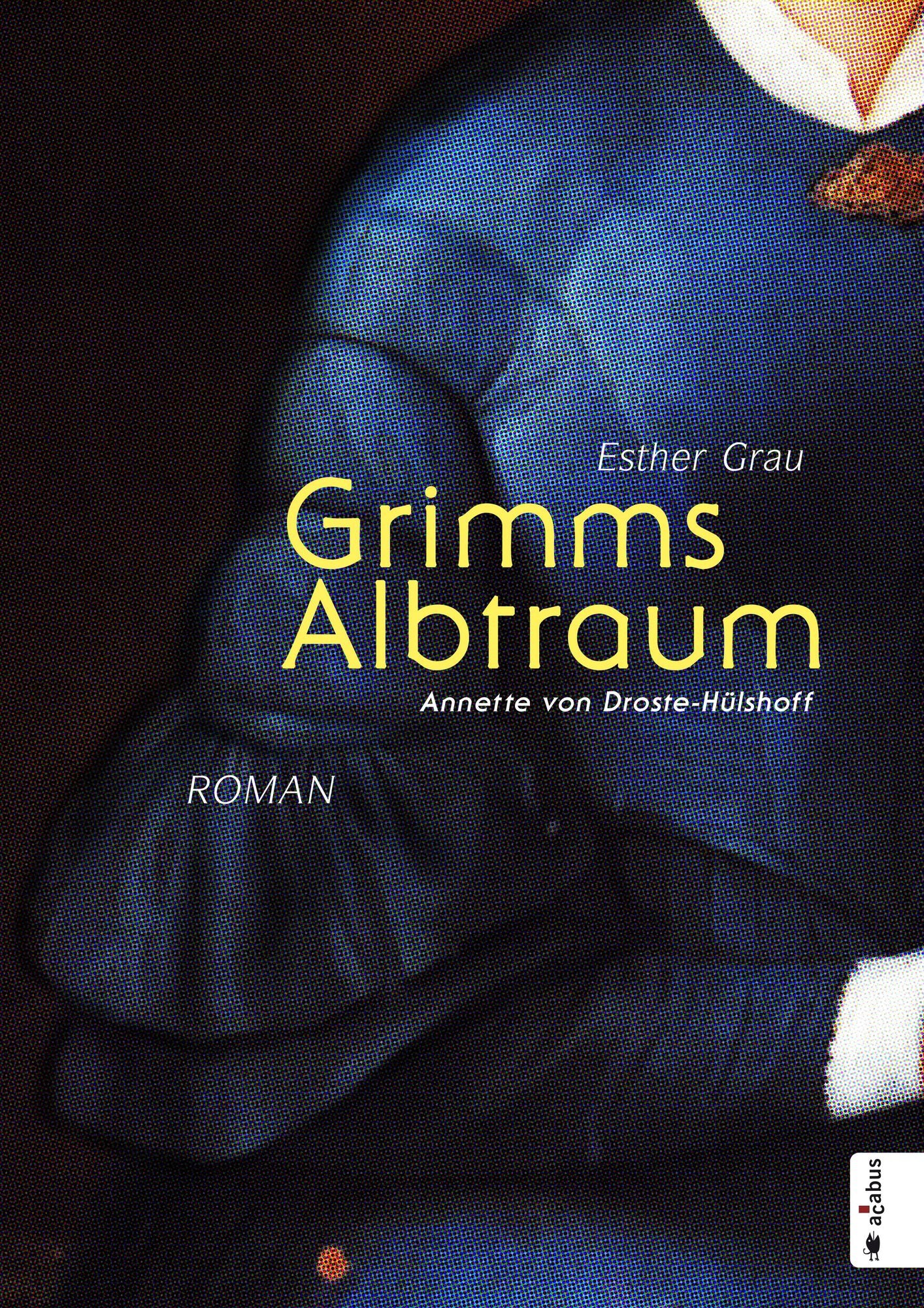 Grimms Albtraum: Annette von Droste-Hülshoff: Romanbiografie