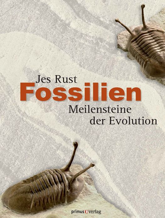 Fossilien: Meilensteine der Evolution