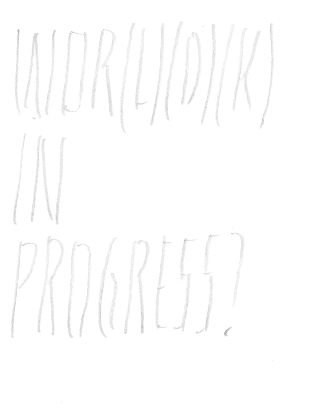 JoÃ¯Â¿Â½lle Tuerlinckx: Wor(l)(D)(K) in Progress?
