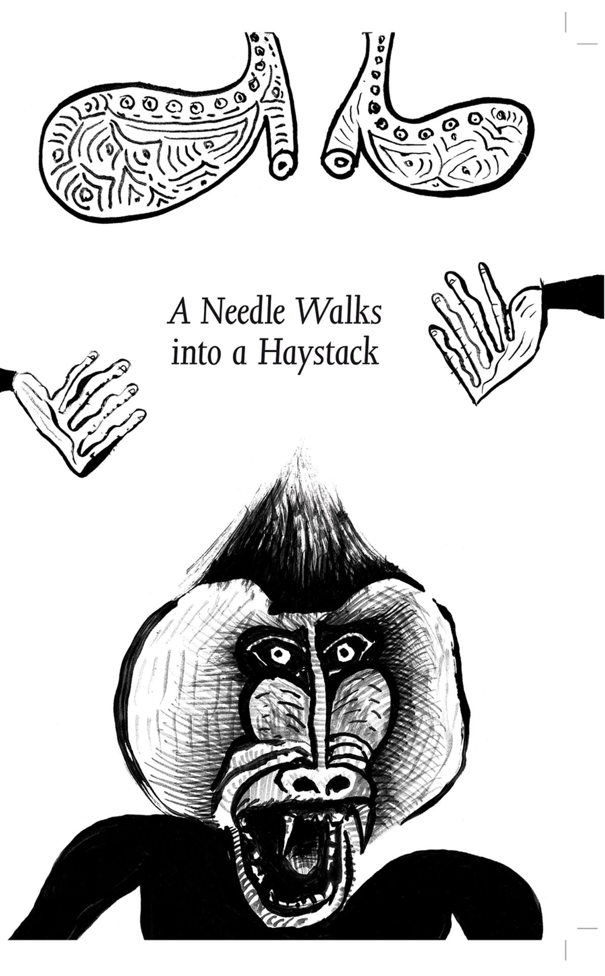 A Needle Walks Into a Haystack: Liverpool Biennial 2014
