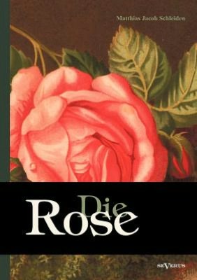 Die Rose: Geschichte und Symbolik in ethnographischer und kulturhistorischer Beziehung