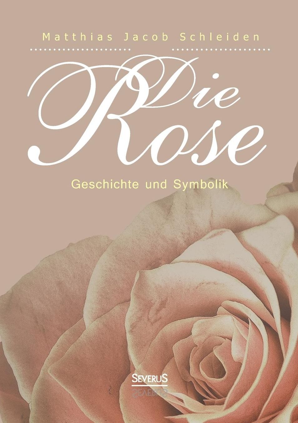 Die Rose: Geschichte Und Symbolik