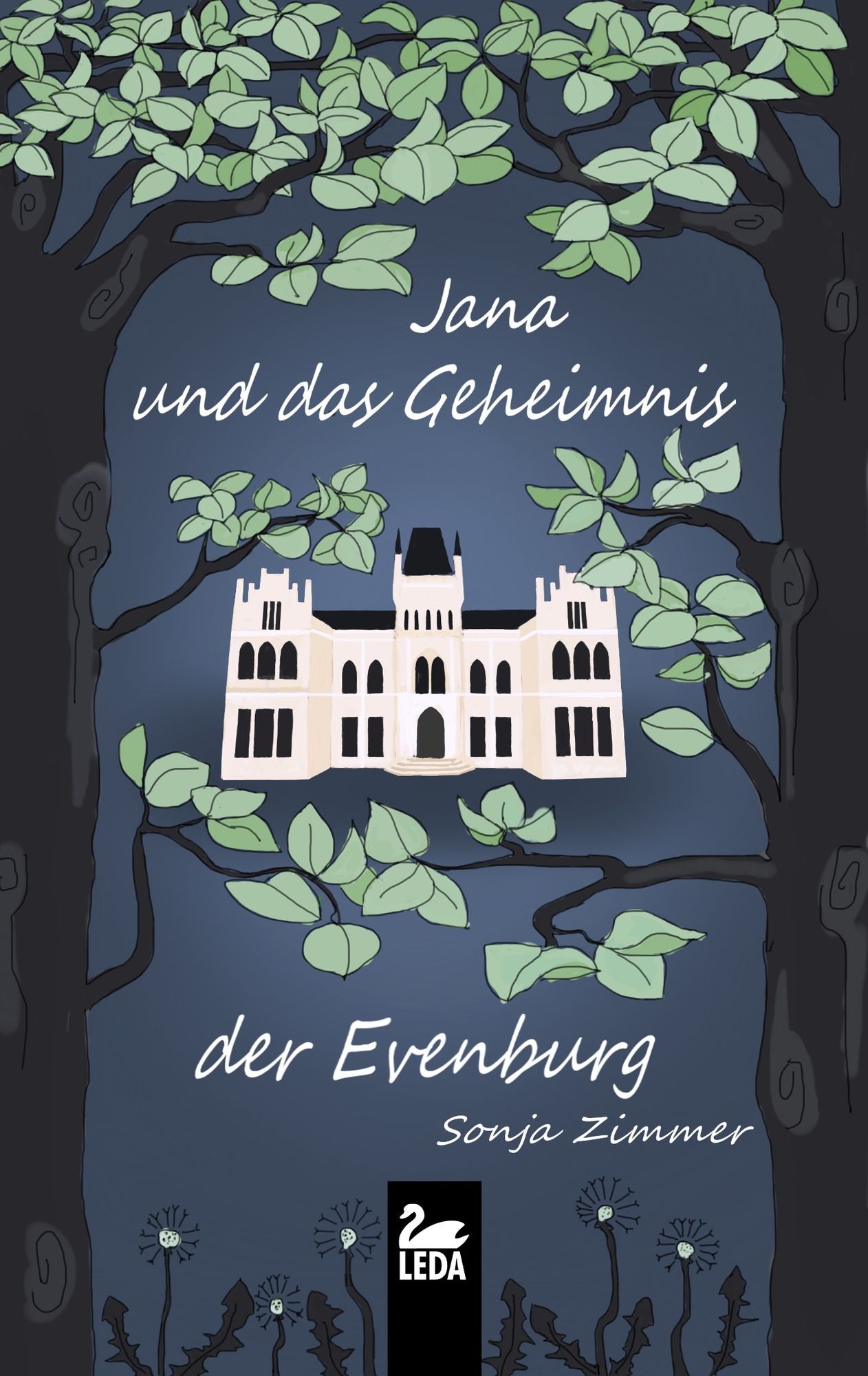 Jana und das Geheimnis der Evenburg
