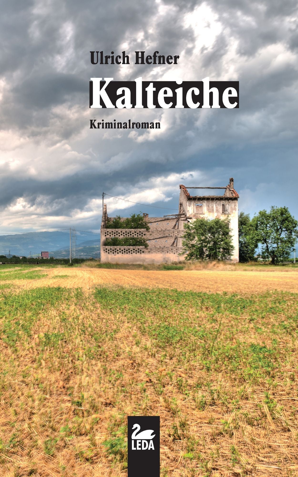 Kalteiche: Kriminalroman