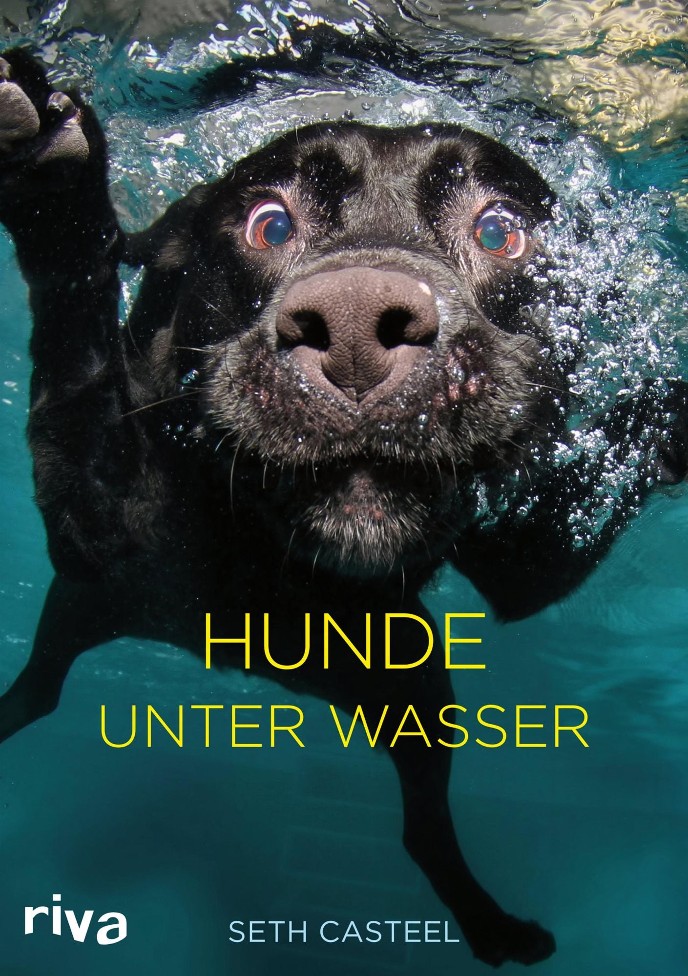 Hunde unter Wasser