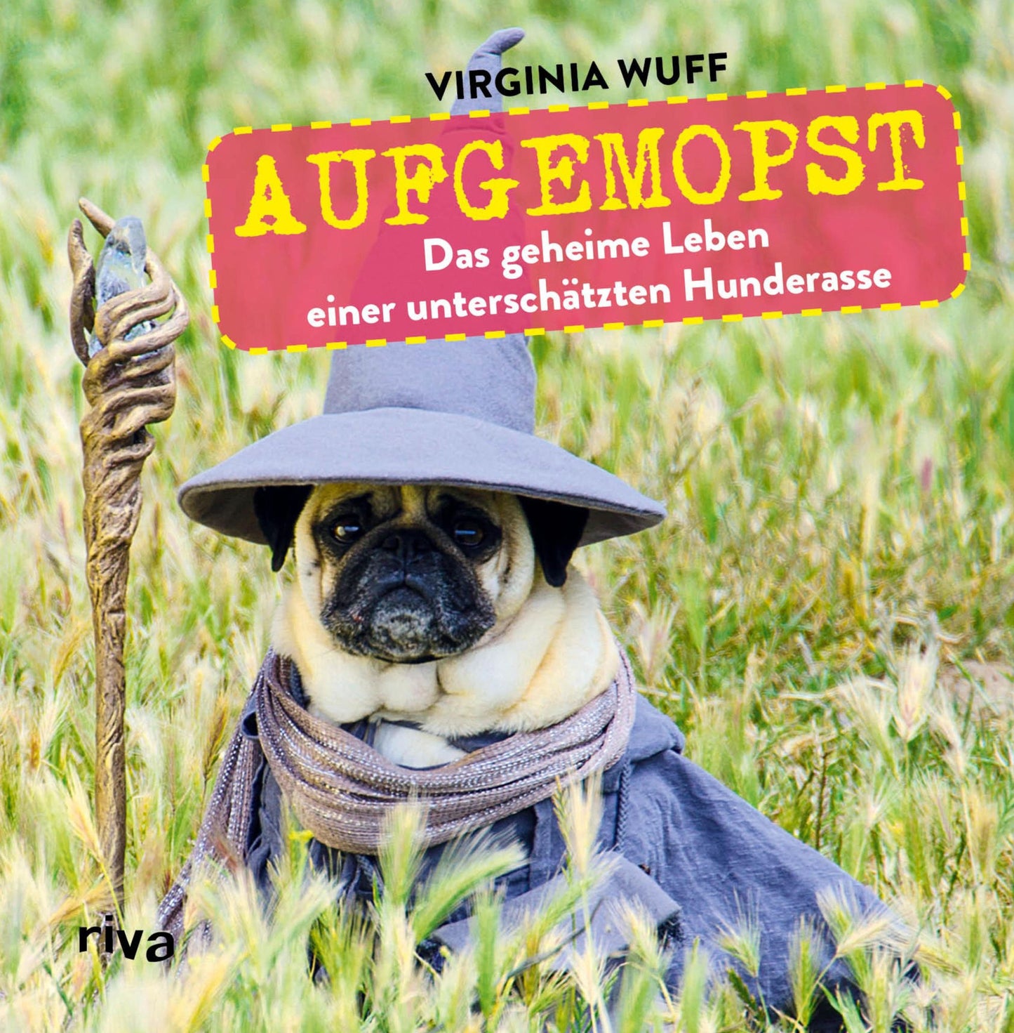 Aufgemopst: Das geheime Leben einer unterschätzten Hunderasse