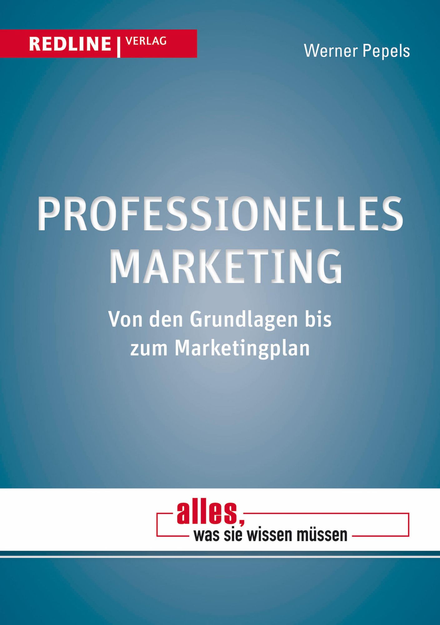 Professionelles Marketing: Von den Grundlagen bis zum Marketingplan