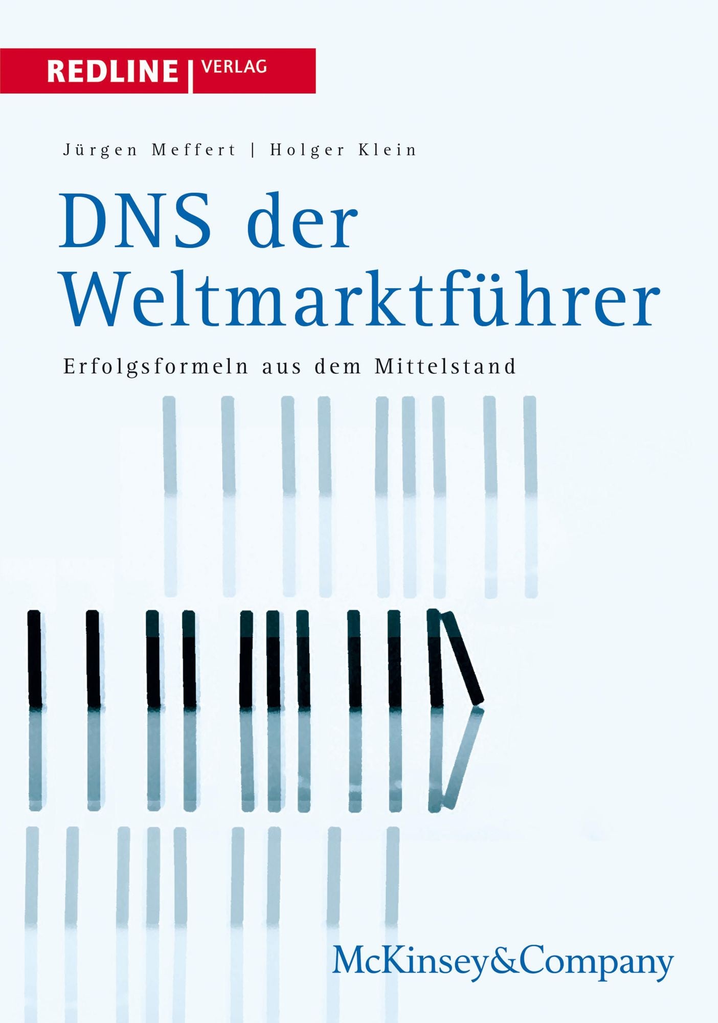 DNS der Weltmarktführer: Erfolgsformeln aus dem Mittelstand