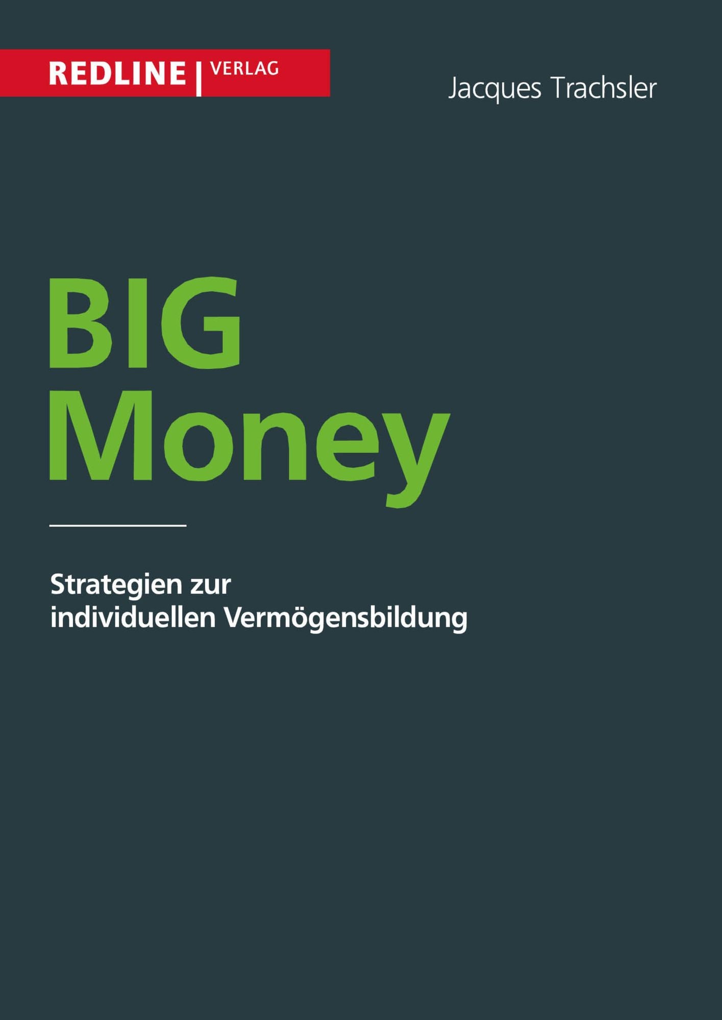 Big Money: Strategien zur individuellen Vermögensbildung