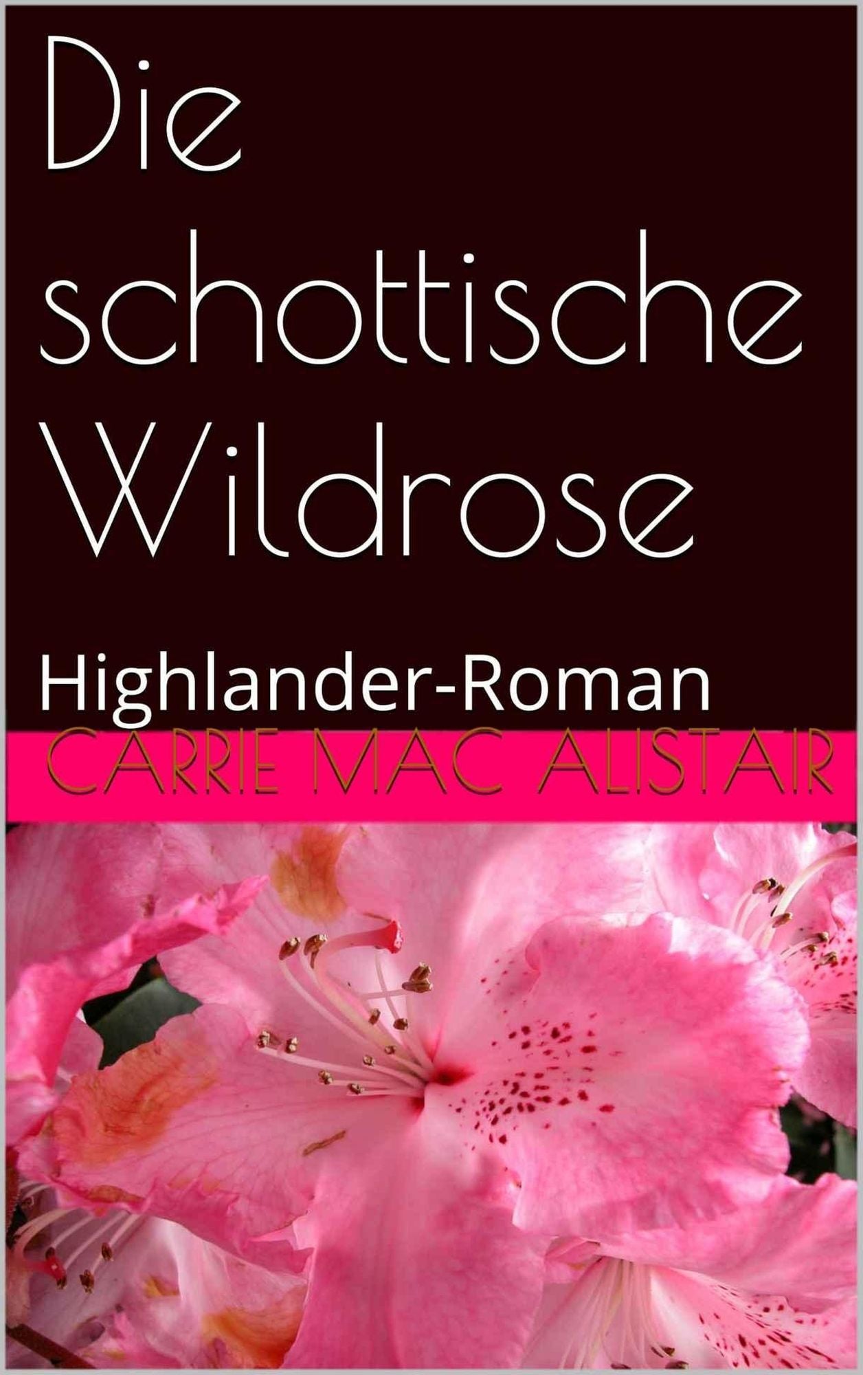 Die schottische Wildrose