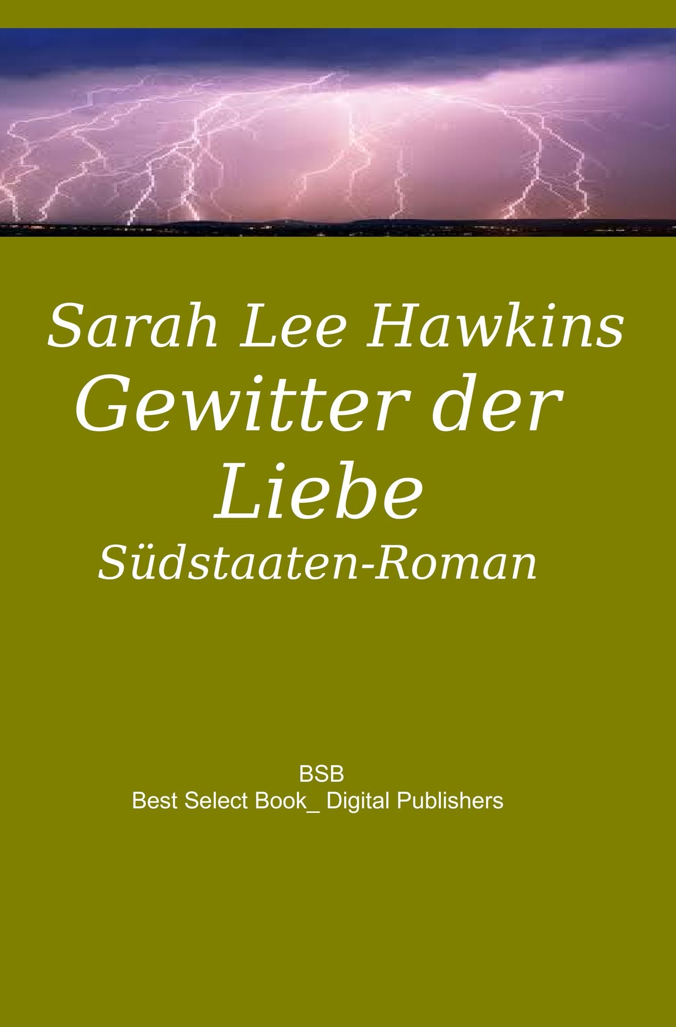 Gewitter der Liebe: Südstaaten-Roman