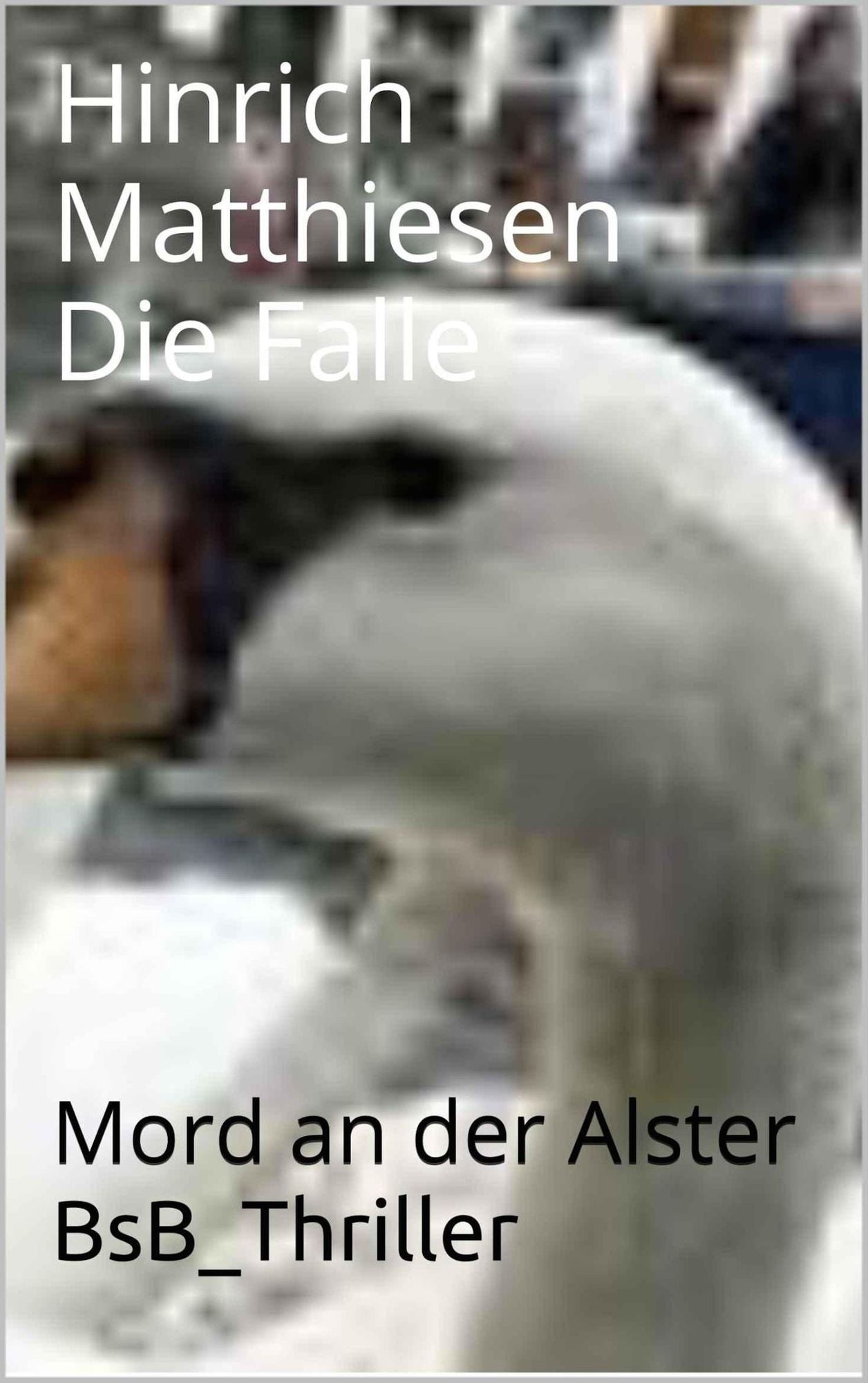 Die Falle: Mord an der Alster BsB_Thriller