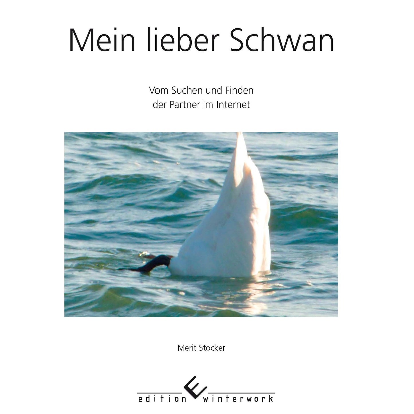 Mein lieber Schwan: Vom Suchen und Finden der Partner im Internet